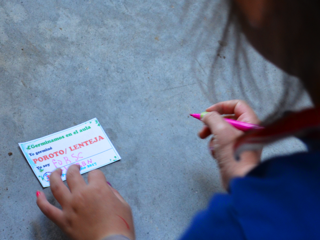 Escuela en Escobar Santo Tomás